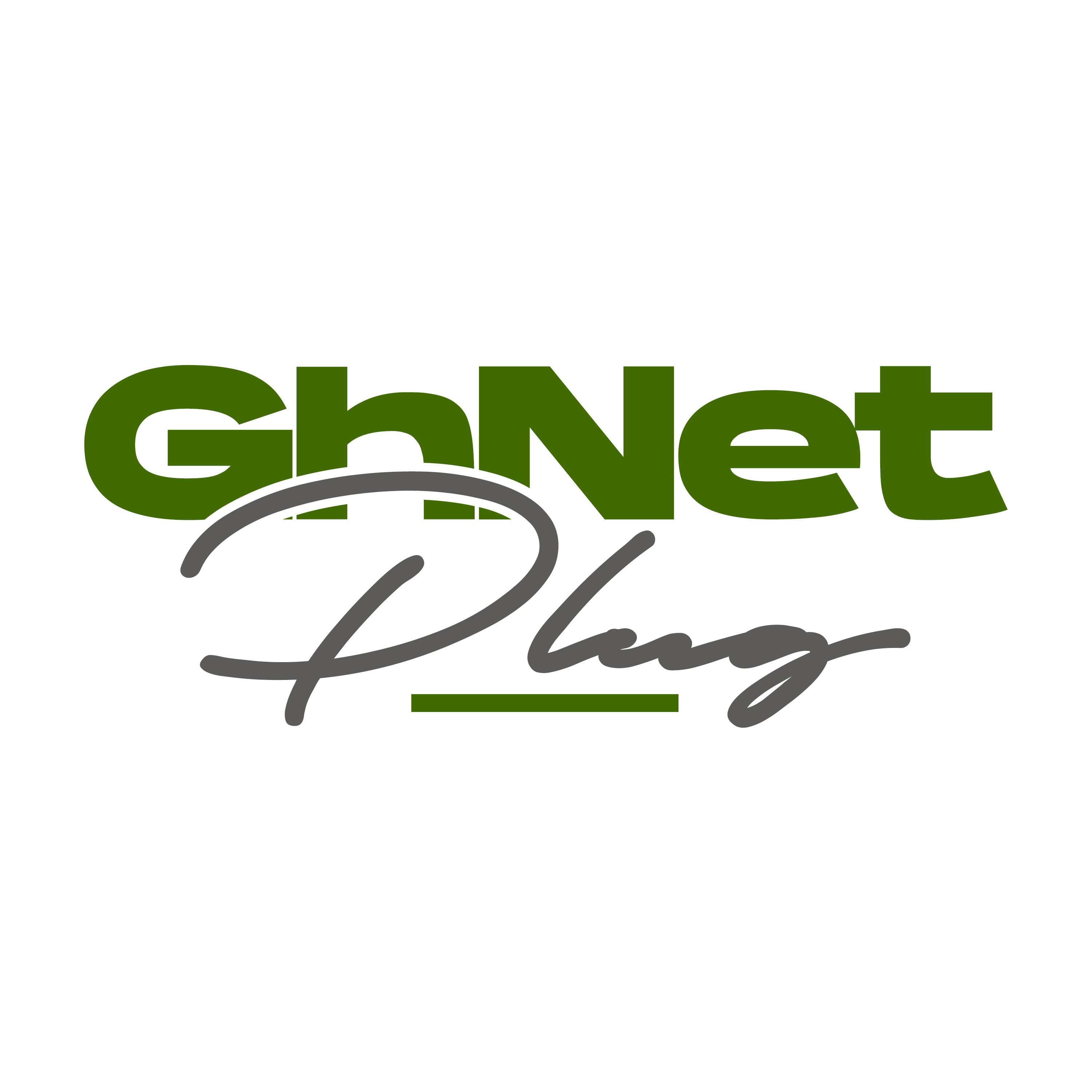 GHNetPlug Logo
